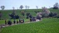 La Cardosa: XX Marxa dels castells  Ramon Sunyer