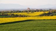 Tordera: Paisatge  Ramon Sunyer