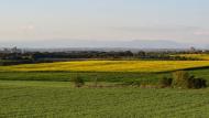 Tordera: Paisatge  Ramon Sunyer