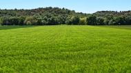 Castellnou d'Oluges: Paisatge  Ramon Sunyer