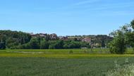 Castellnou d'Oluges: Paisatge  Ramon Sunyer