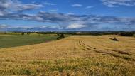 Montcortès de Segarra: Paisatge  Ramon Sunyer