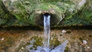 Rocamora i Sant Magí de la Brufaganya: Fonts de sant Magí  Ramon Sunyer