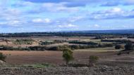 Les Pallargues: Paisatge  Ramon Sunyer