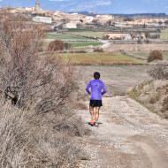 Mont-roig: Paisatge  Ramon Sunyer