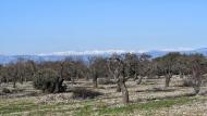 El Canós: Paisatge  Ramon Sunyer