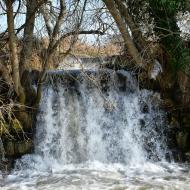 Sedó: Peixera de Sedó al riu Sió  Ramon Sunyer