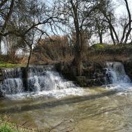 La Prenyanosa: Peixera de la Prenyanosa al riu Sió  Ramon Sunyer