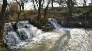 La Prenyanosa: Peixera de la Prenyanosa al riu Sió  Ramon Sunyer