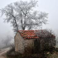 Ferran: Gebrada  Ramon Sunyer