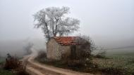 Ferran: Gebrada  Ramon Sunyer