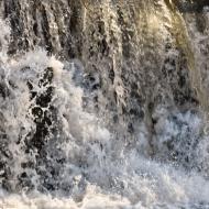 Ossó de Sió: Peixera d'Ossó de Sió al riu Sió  Ramon Sunyer