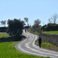 Guissona: XXI Marxa dels Castells  Ramon Sunyer
