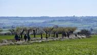 Guissona: XXI Marxa dels Castells  Ramon Sunyer