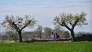 Guissona: XXI Marxa dels Castells  Ramon Sunyer