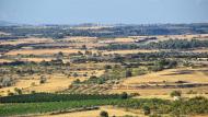 Guimerà: La Bovera  Ramon Sunyer