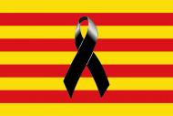 Decretat dol oficial a Catalunya fins al 5 de juny