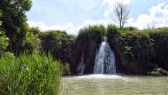 Pallerols: Peixera al riu Ondara  Ramon Sunyer