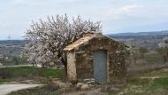Guissona: XXII Marxa dels Castells  Ramon Sunyer