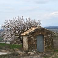 Guissona: XXII Marxa dels Castells  Ramon Sunyer