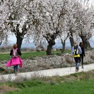 Guissona: XXII Marxa dels Castells  Ramon Sunyer