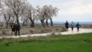 Guissona: XXII Marxa dels Castells  Ramon Sunyer