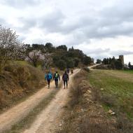 Castellmeià:   Ramon Sunyer