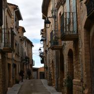 El Mas de Bondia: vila closa  Ramon Sunyer
