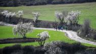 Cervera: XXIV Marxa dels Castells  Ramon Sunyer