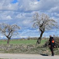Guissona: XXIV Marxa dels Castells  Ramon Sunyer