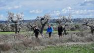 Guissona: XXIV Marxa dels Castells  Ramon Sunyer