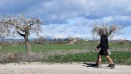 Guissona: XXIV Marxa dels Castells  Ramon Sunyer