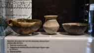 Guissona: Museu ceràmica  Ramon Sunyer
