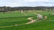 Florejacs: XXV Marxa dels Castells  Ramon Sunyer