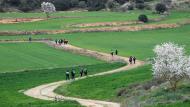 Florejacs: XXV Marxa dels Castells  Ramon Sunyer