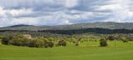 Puig-redon: Panoràmica de les Feixes  Ramon Sunyer