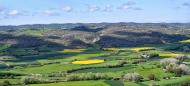 Torà: Panoràmica des de l'Aguda  Ramon Sunyer