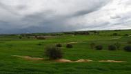 Pelagalls: Sembrats a la serra de Queralt  Ramon Sunyer