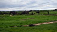 Pelagalls: Sembrats a la serra de Queralt  Ramon Sunyer
