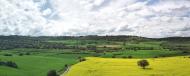 Massoteres: Colza  Ramon Sunyer