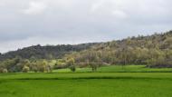 Torà: Sembrats al pla de Fontanet  Ramon Sunyer