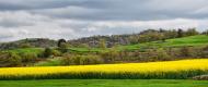 Torà: Panoràmica de les Torrovelles  Ramon Sunyer