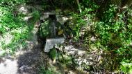 La Cirera: Font Blanca  Ramon Sunyer