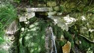La Cirera: Font Blanca  Ramon Sunyer