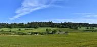 Rauric: panorama sembrats Ramon Sunyer