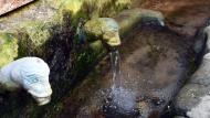 Gospí: Font vella  Ramon Sunyer