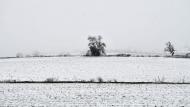 Ivorra: Paisatge nevat  Ramon Sunyer