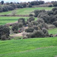 Les Sitges: XXV Marxa dels Castells  Ramon Sunyer