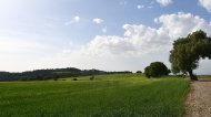 Suró: vista del poble Ramon Sunyer