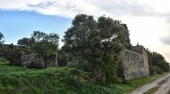 Conill (T): cementiri Ramon Sunyer